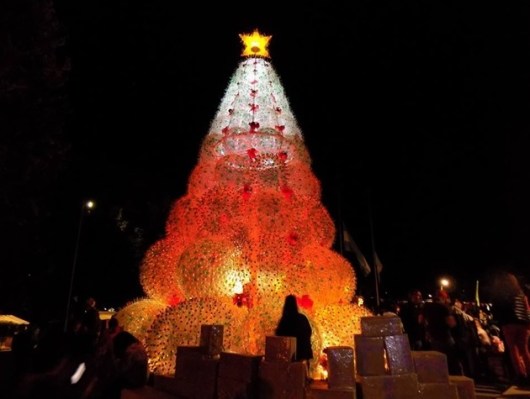 SMde losA Arbolito de noche